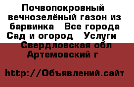 Почвопокровный, вечнозелёный газон из барвинка - Все города Сад и огород » Услуги   . Свердловская обл.,Артемовский г.